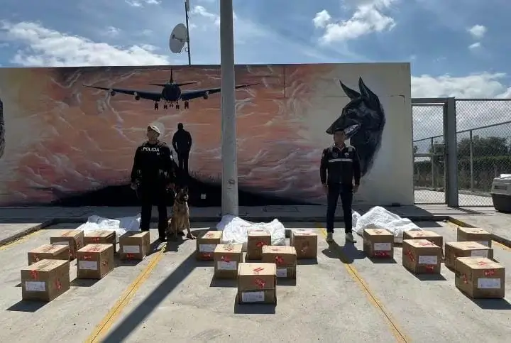 Canes detectan droga en fundas de ingredientes para elaborar colada morada que iban a España.