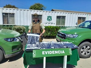 Carabineros recupera artículos robados desde contenedor: dos detenidos.