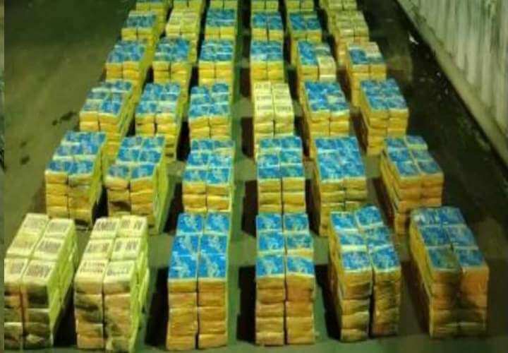 Descubren 1,250 paquetes de droga en contenedor de muebles, Aduanas Panamá.