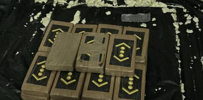 La ingeniosa maniobra con la que pretendían enviar 80 kilos de cocaína a Bélgica.